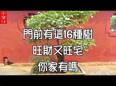 屋後有樹|如何用屋後樹木增旺運勢？